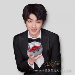 玫瑰公仔 - 玫瑰熊花球版嫣红 小型