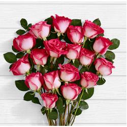 Gifts from $24.99 + free shipping @ Proflowers