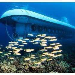 夏威夷欧胡岛 潜艇海底观光 $123起@ Groupon 