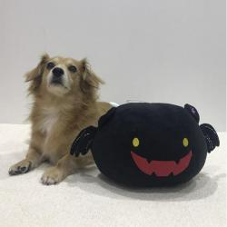 ハロウィンデビル（ディスプレイ用）