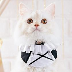 おめかしウェアバンダナ　クラシカルドレス