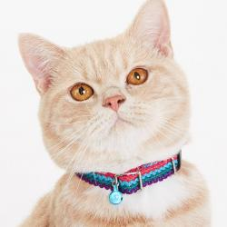 ミサンガキャットカラー