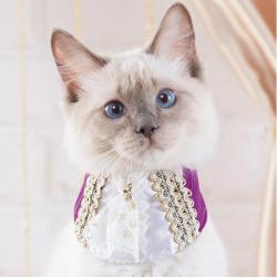 おめかしウェアバンダナ　ジャボプリンス