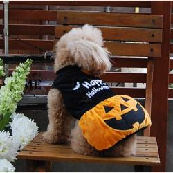 着ぐるみパンプキン