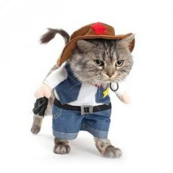 고양이 코스튬 카우보이 M