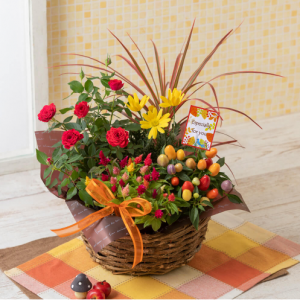 寄せ鉢「秋のカラフル・パレット」