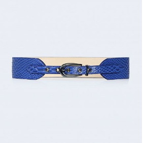 tommy hilfiger cat collar