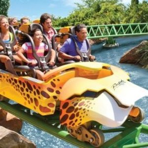 坦帕港布希花園門票