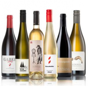 WEINPROBE: BURGUNDERFAMILIE Geile Weine Weinpaket