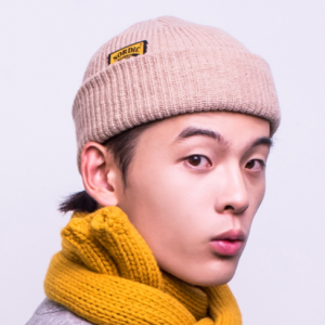 노르딕아일랜드 비니-루틴베이지