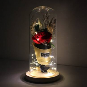 LED 유리돔안 장미(대) 무드등