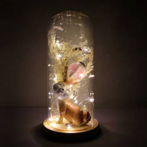 LED 유리돔안 토끼(대) 무드등