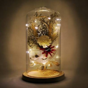 LED 유리돔안 목화배합(대) 무드등