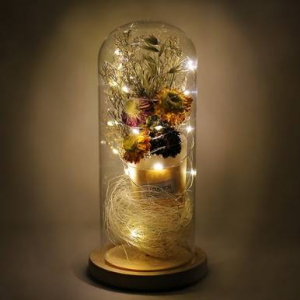 LED 유리돔안 국화(대) 무드등