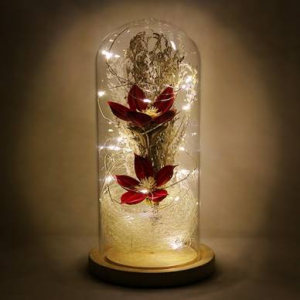 LED 유리돔안 무명화(대) 무드등