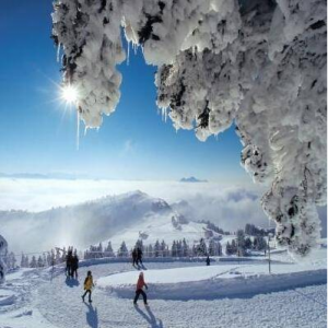 [2개국 히트] 청정자연♥스위스/남프랑스 9-10일