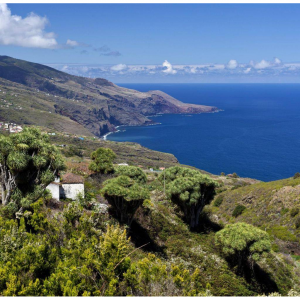 马德里飞往拉帕尔马