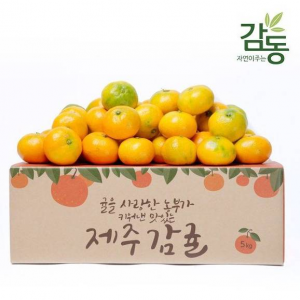 [감동] 타이벡 조생 감귤 로열과 5kg 외 옵션5종