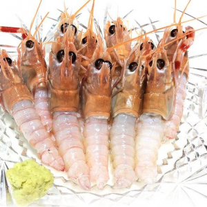 [일본 사시미 수출용]자연산 제주 딱새우 1kg