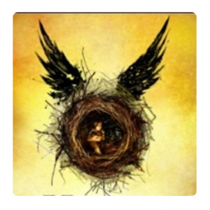 Harry Potter And The Cursed Child @ Expedia