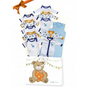 Baby-Geschenk-Set / Erstausstattungs-Paket groß Dino blau