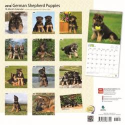 German Shepherd Puppies Wall Calendar