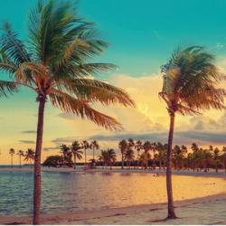 迈阿密一价全包通票