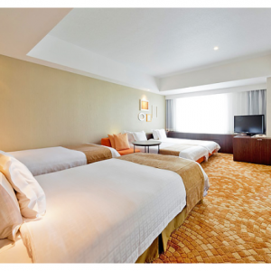 夜行 新潟・長岡・直江津発