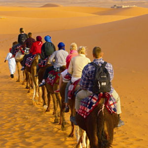 Intrepid Travel 摩洛哥15天游 