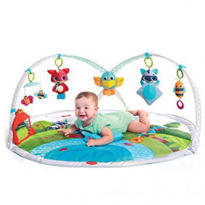 Up to 50% off  Bright Starts @ Amazon