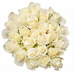 Natural Fresh Flowers - White Roses, 20", 75 Stems
