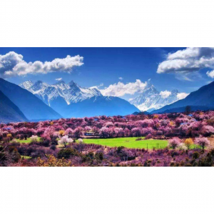 2025西藏林芝桃花节赏花攻略（附最佳赏花时间地点+路线）