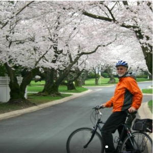 Viator專屬 華盛頓櫻花節 單車騎遊