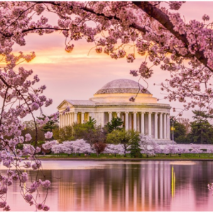 2019 Washington Cherry Blossom Hotels Booking @Booking.com