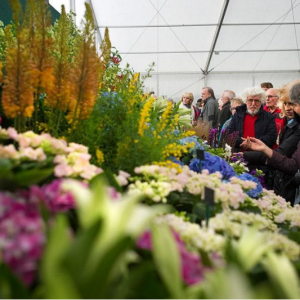 RHS Flower Show Cardiff  at 12-14 April 2019 tickets From  £11 @Royal Horticultural Society 