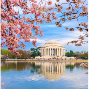 2019年华盛顿樱花节：一期一会 折扣多多
