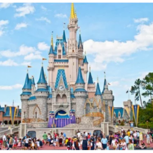 Walt Disney World®  Resort Hotels Sale @Priceline