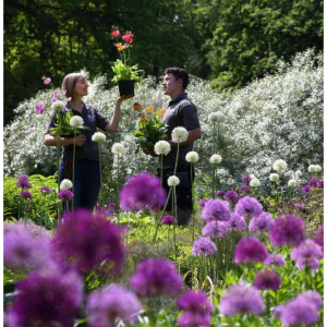 RHS Garden Harlow Carr Flower Show 21 - 23 June Tickets from £5.31 @Royal Horticultural Society