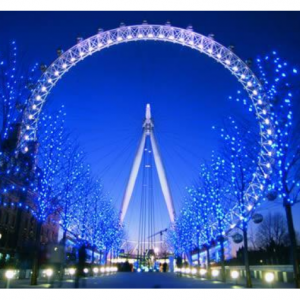 使用可选标准伦敦眼票参加伦敦眼内河巡航