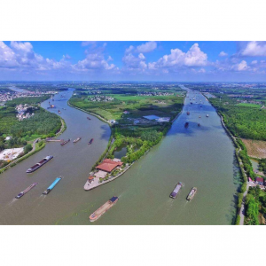 2025上海周边小众冷门赏花踏青好去处 - 远离喧嚣，遇见最美的春天