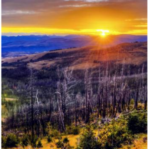 6天黄石经典景点一网打尽+双木屋仅$372