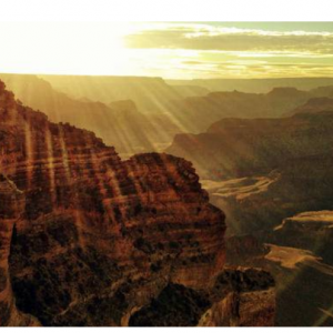 11天黄石经典景点一网打尽+住西峡谷小木屋