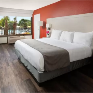 Hotels.com -  奥兰多阿凡提棕榈度假村$84起，3.5星