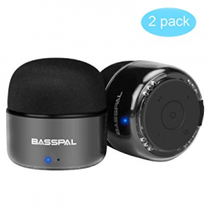BassPal Portable Bluetooth Speakers, Small True Wireless Stereo (TWS) Speaker with Radio, IPX5 Water