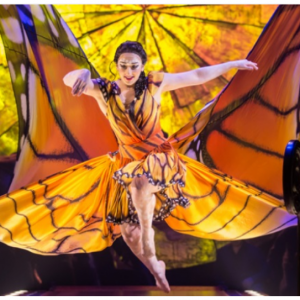 ShowTickets - Luzia by Cirque du Soleil® From $47