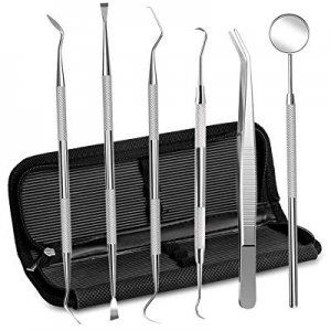 Dental Tools Stainless Steel Dental Pick Dental Floss Dental Hygiene Tool Set Tooth Scraper Plaque T