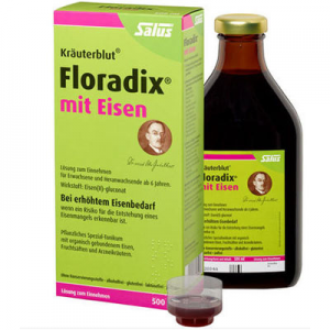 Salus Floradix mit Eisen 铁元 补铁补气抗疲劳 500ml