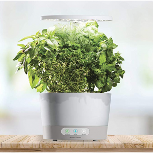 限今天 Aerogrow 室内无土智能盆栽促销 Amazon 低至5折 Extrabux