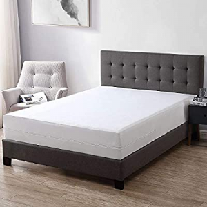 One Day Only！EXQ Home Zippered Mattress Encasement Queen Size - 100% Bed Bug Proof now 10.0% off ,..