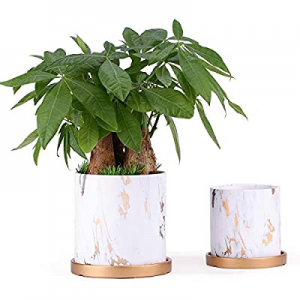 PETSWI 5.5 & 4.2 Inch Ceramic Planters (Set of 2) now 35.0% off , Modern Flower Plant Pot, Gardeni..